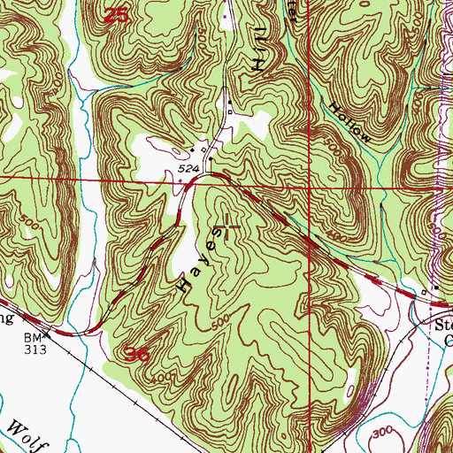 Topographic Map of Hayes Hill, AL