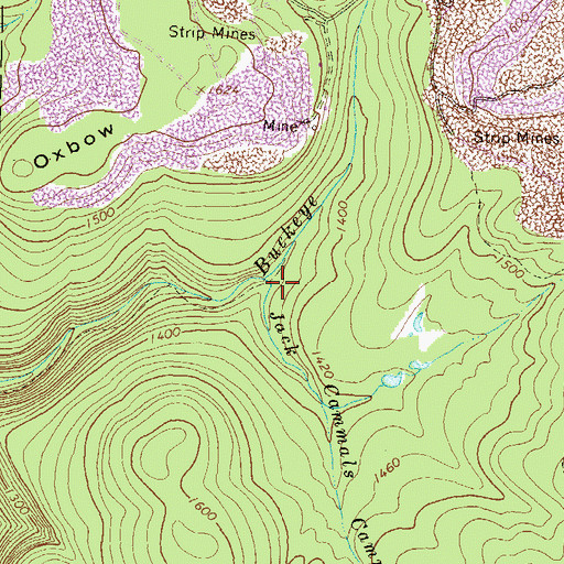 Topographic Map of Jack Cammals Camp Run, PA