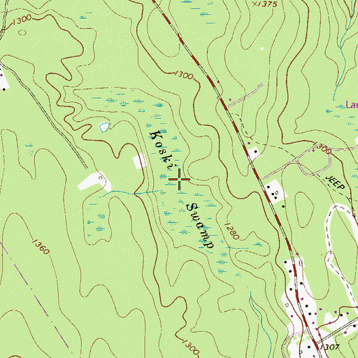 Topographic Map of Koski Swamp, PA