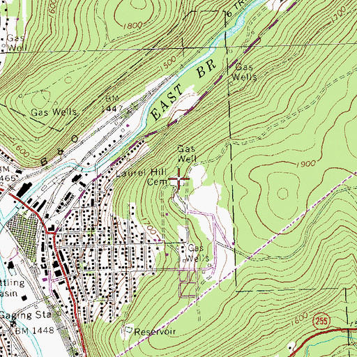 Topographic Map of Laurel Hill Cemetery, PA