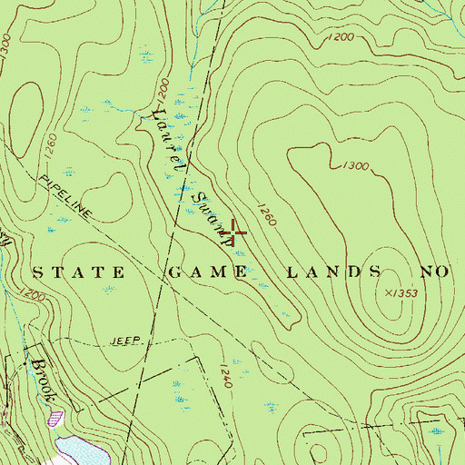 Topographic Map of Laurel Swamp, PA