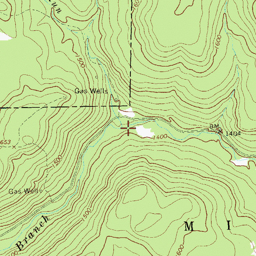 Topographic Map of Lick Run, PA