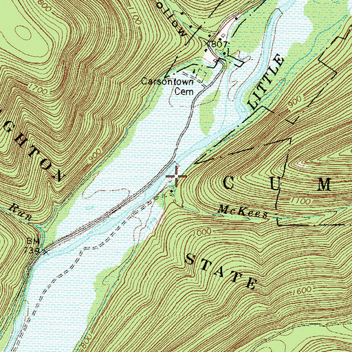 Topographic Map of McKees Run, PA