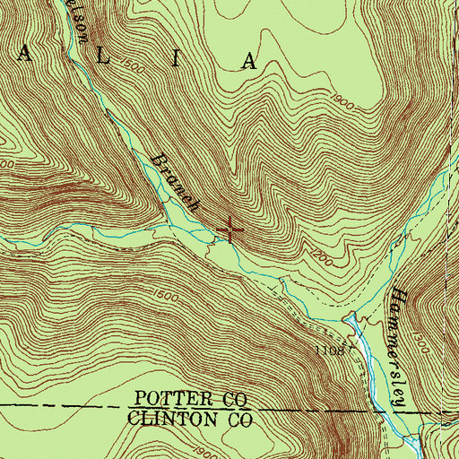Topographic Map of Nelson Branch, PA
