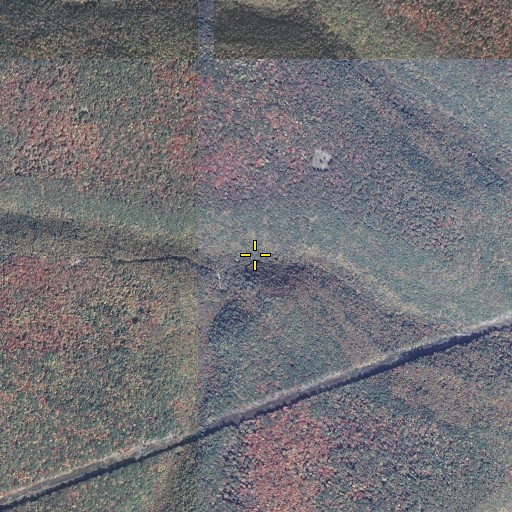 Aerial/Satellite Image of Ott Fork, PA