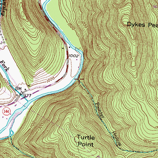 Topographic Map of Painter Hollow, PA