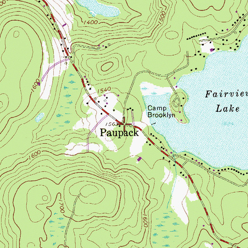 Topographic Map of Paupack, PA