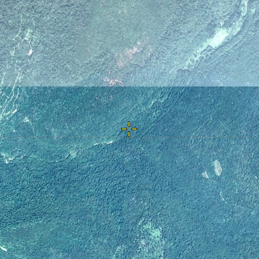 Aerial/Satellite Image of Pigeon Run, PA