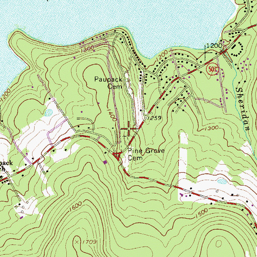 Topographic Map of Pine Grove Cemetery, PA