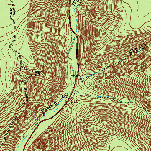 Topographic Map of Shaney Brook, PA