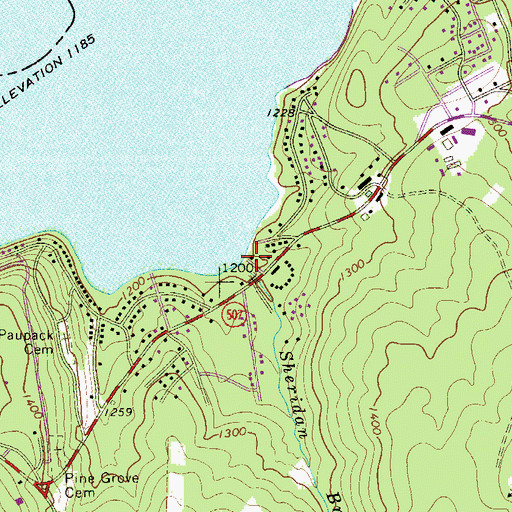 Topographic Map of Sheridan Brook, PA