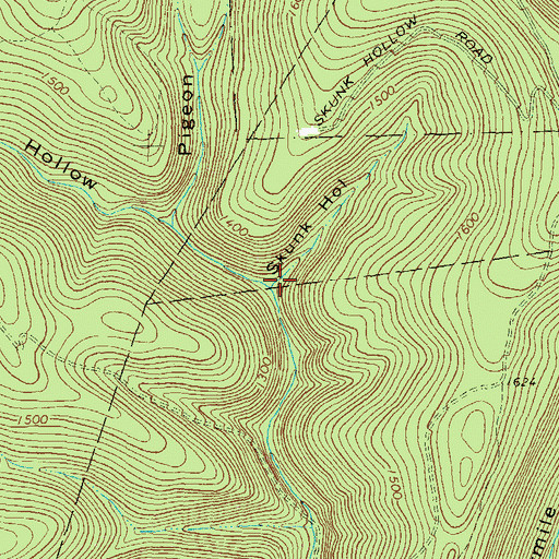 Topographic Map of Skunk Hollow, PA