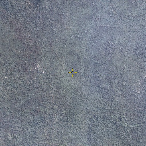 Aerial/Satellite Image of South Mountain, PA