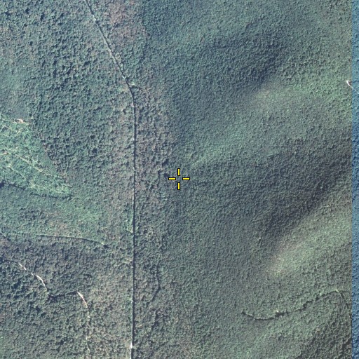 Aerial/Satellite Image of Splash Dam Run, PA