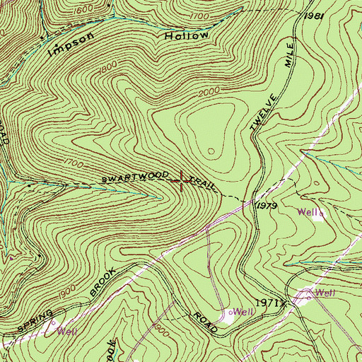 Topographic Map of Swartwood Trail, PA