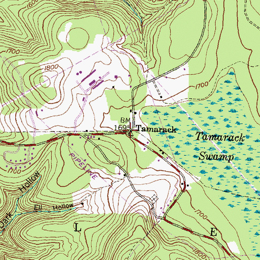 Topographic Map of Tamarack, PA