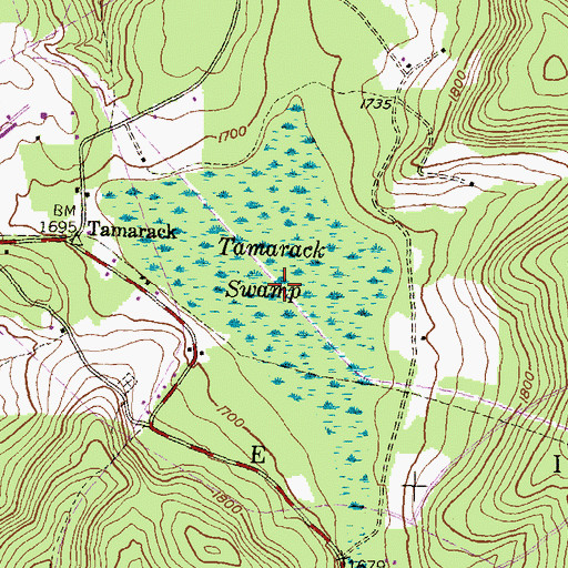 Topographic Map of Tamarack Swamp, PA