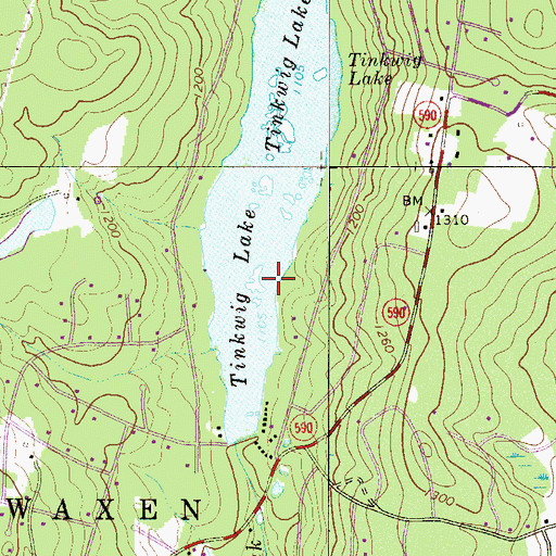 Topographic Map of Tinkwig Lake, PA