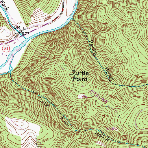 Topographic Map of Turtle Point, PA