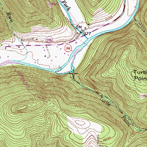 Topographic Map of Turtle Point Hollow, PA