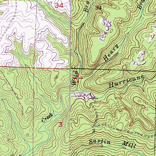 Topographic Map of Henry Branch, AL