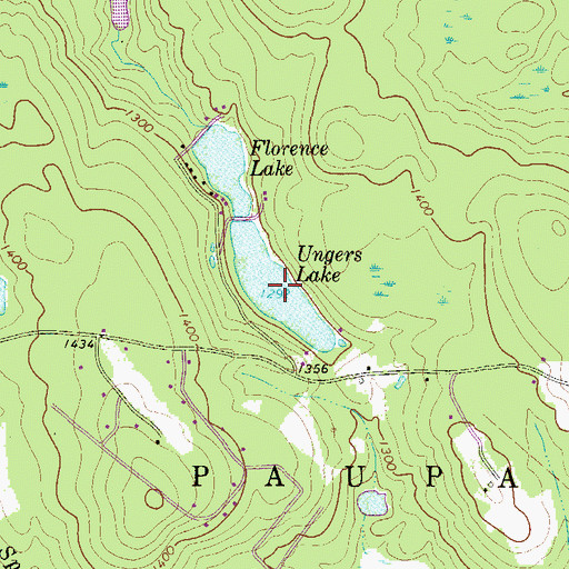 Topographic Map of Ungers Lake, PA