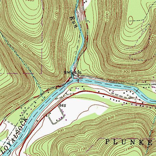 Topographic Map of Wallis Run, PA