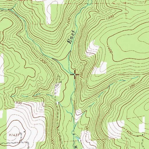 Topographic Map of West Branch Wallis Run, PA