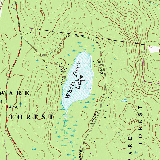 Topographic Map of White Deer Lake, PA