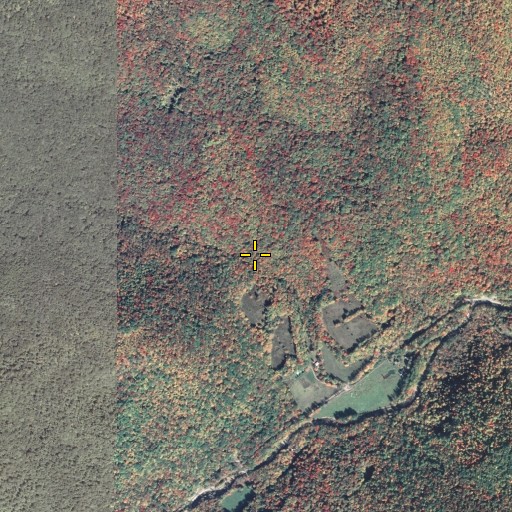 Aerial/Satellite Image of Windfall Run, PA