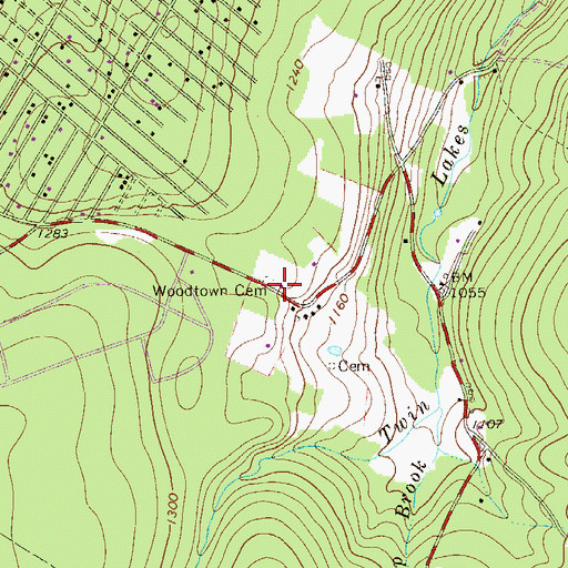 Topographic Map of Woodtown Cemetery, PA
