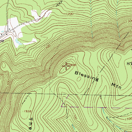 Topographic Map of Blessing Mountain, PA