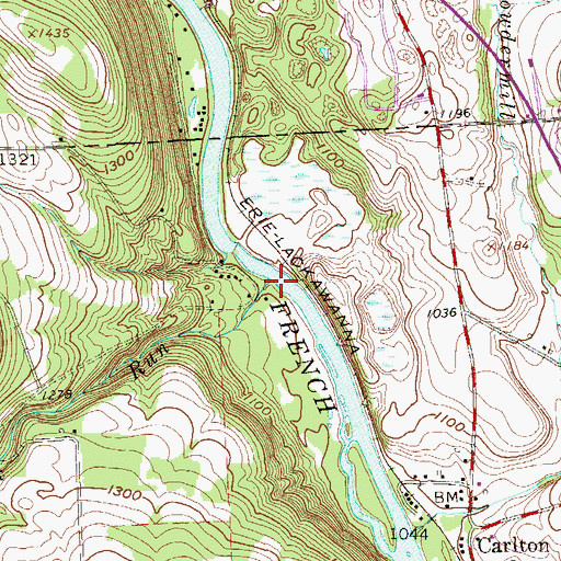 Topographic Map of Foulk Run, PA