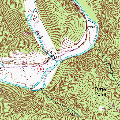 Topographic Map of Hammersley Fork, PA
