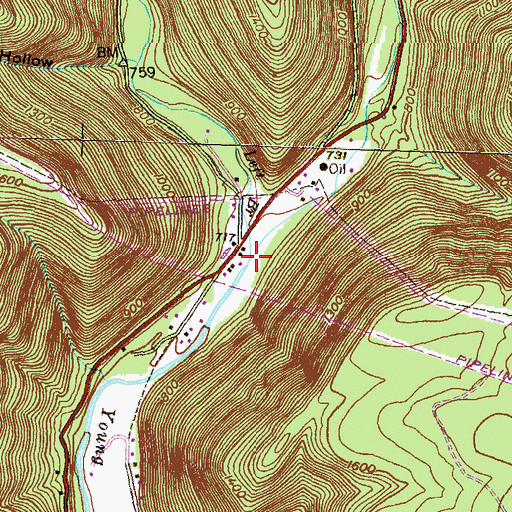 Topographic Map of Left Branch Young Womans Creek, PA