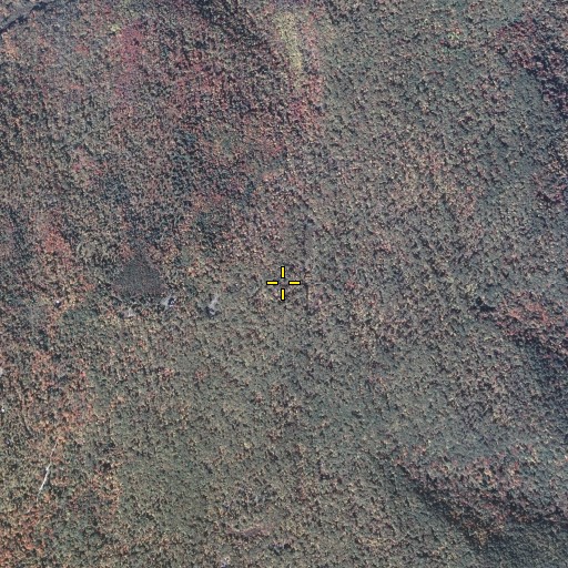 Aerial/Satellite Image of North Mountain, PA