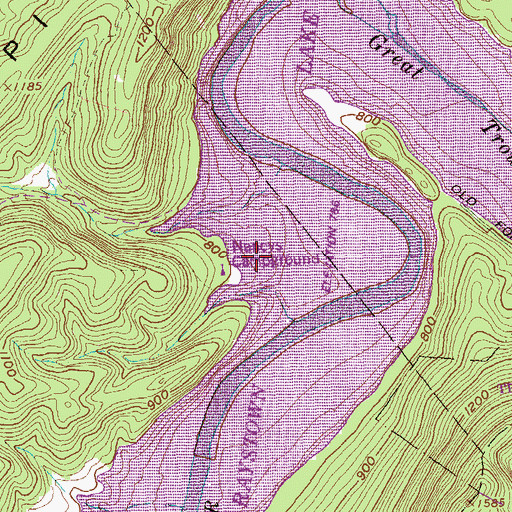Topographic Map of Nancys Campground, PA