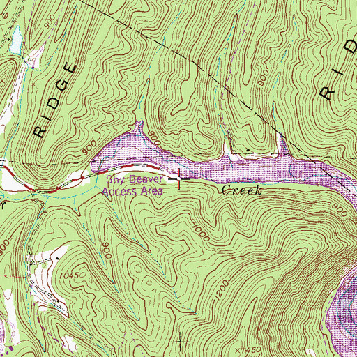 Topographic Map of Shy Beaver Access Area, PA