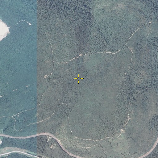 Aerial/Satellite Image of Laurel Run, PA