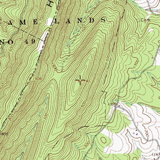 Topographic Map of Negro Mountain, PA