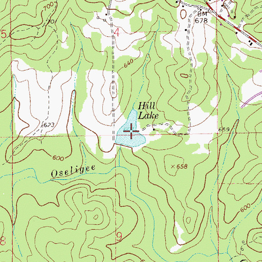 Topographic Map of Hill Lake, AL