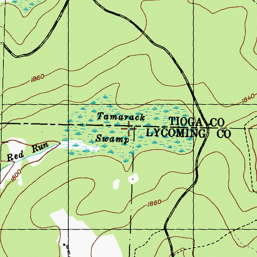 Topographic Map of Algerine Swamp Bog, PA