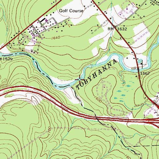 Topographic Map of Tobyhanna Falls, PA