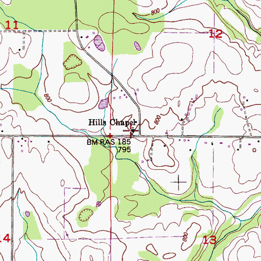 Topographic Map of Hills Chapel, AL