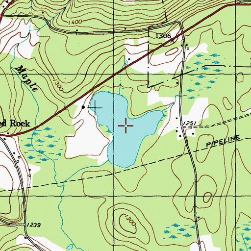 Topographic Map of Beaver Pond, PA