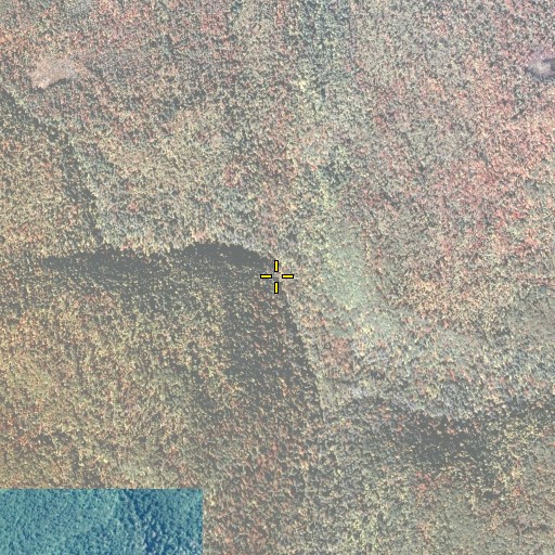 Aerial/Satellite Image of Harrison Wright Falls, PA