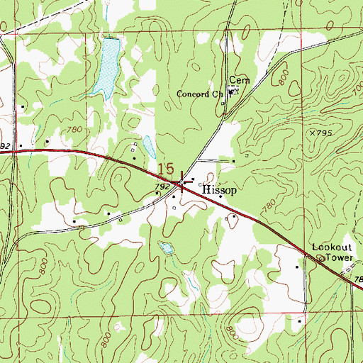 Topographic Map of Hissop, AL