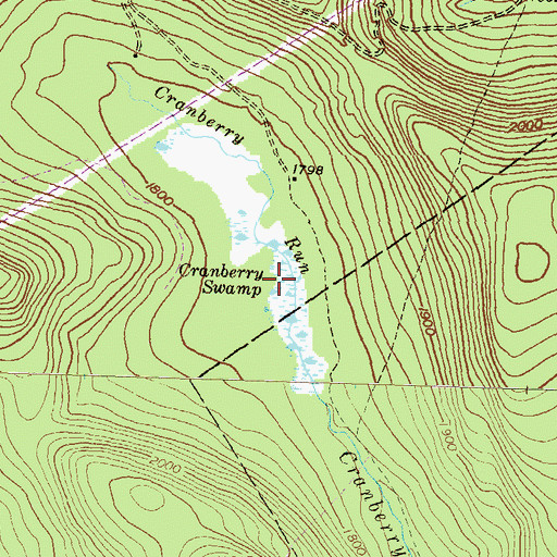 Topographic Map of Cranberry Swamp Natural Area, PA