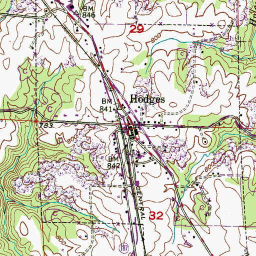 Topographic Map of Hodges, AL