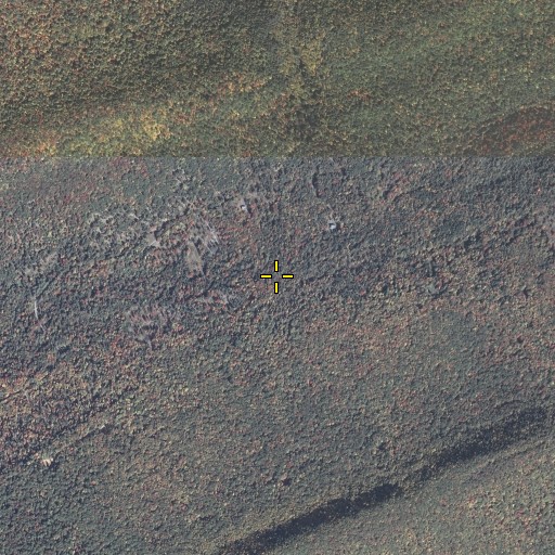 Aerial/Satellite Image of Barner Run, PA